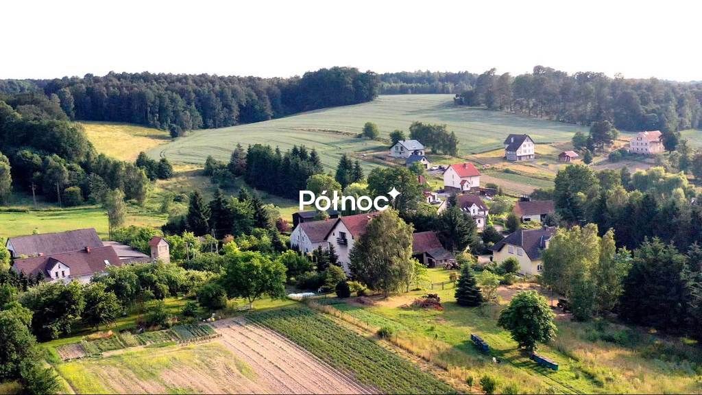 dom wolnostojący, 7 pokoi Nowe Jaroszowice. Zdjęcie 3