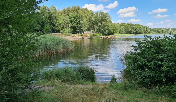 Działka budowlana Rogoźnik