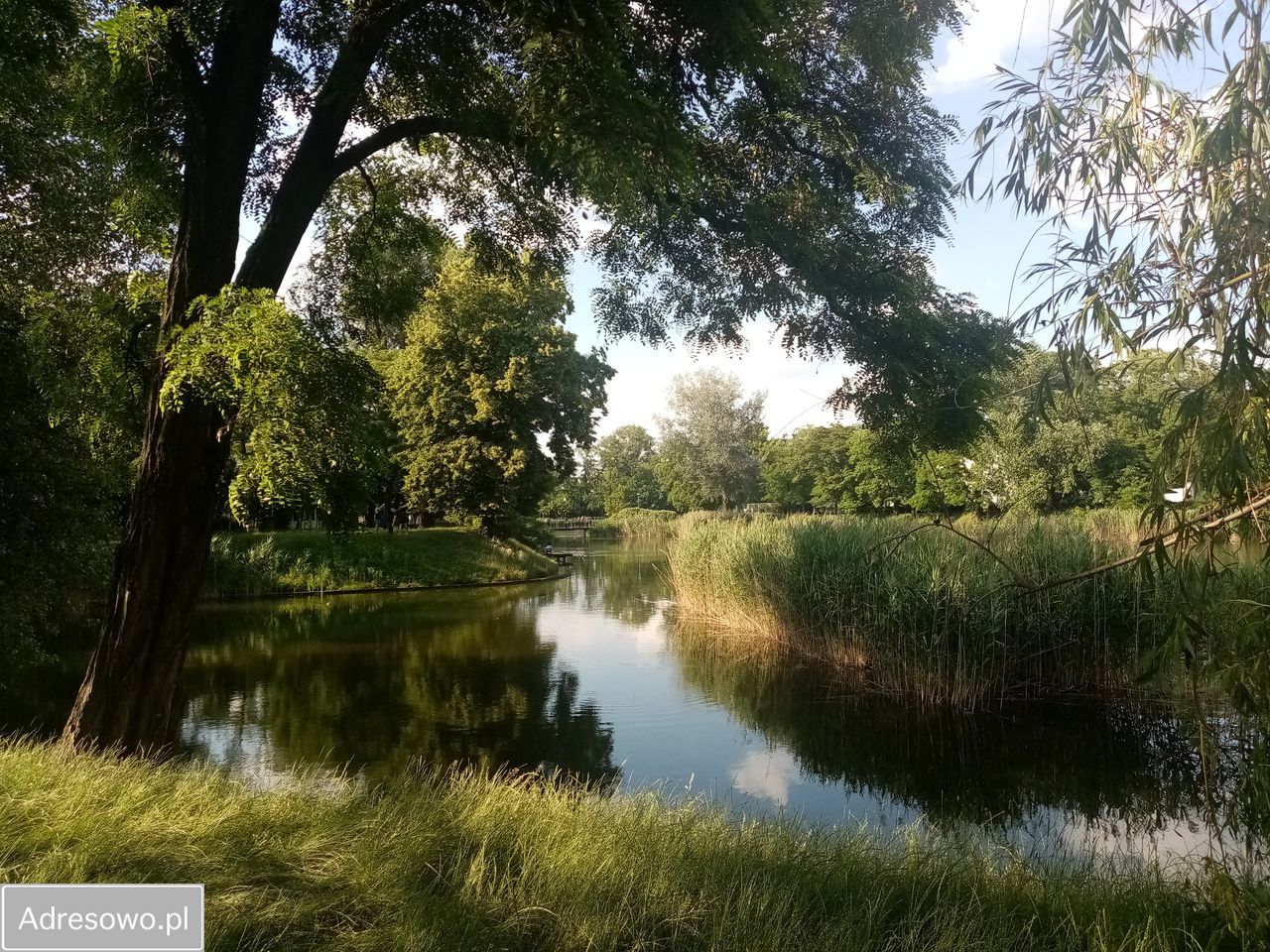 Mieszkanie 1-pokojowe Warszawa Włochy, ul. Popularna. Zdjęcie 2