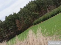 Działka Łowinia. Zdjęcie 4