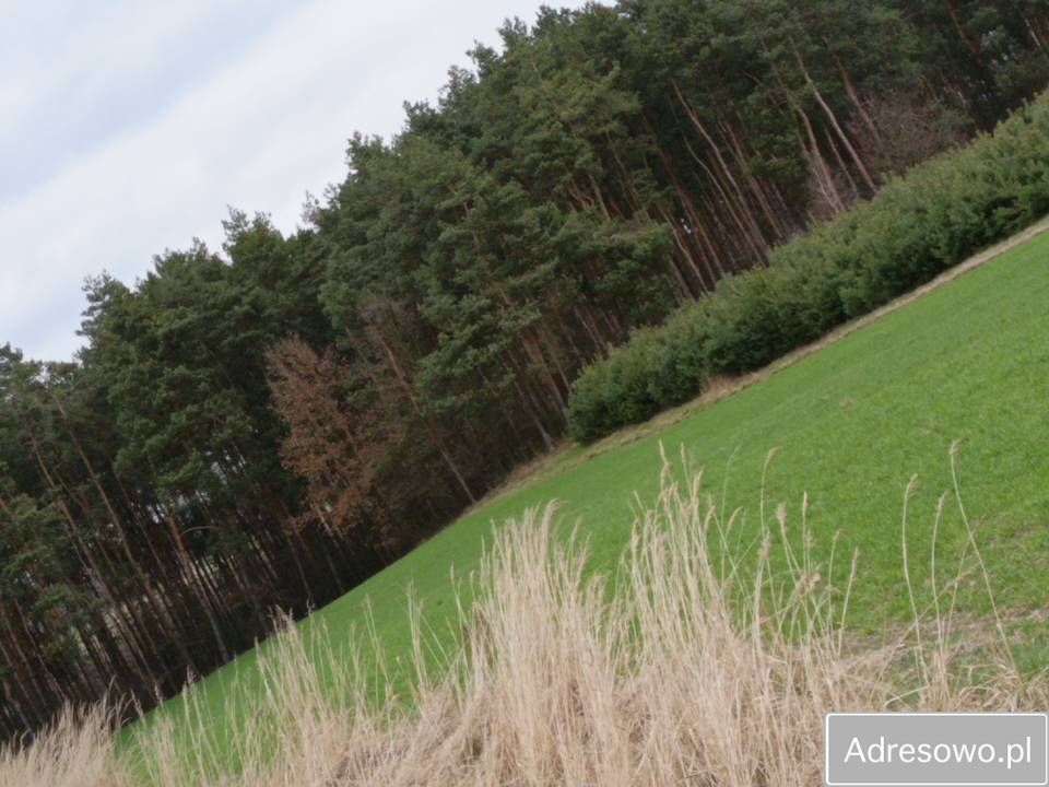 Działka Łowinia. Zdjęcie 5