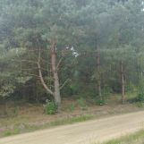 Działka budowlana Nagodów. Zdjęcie 4