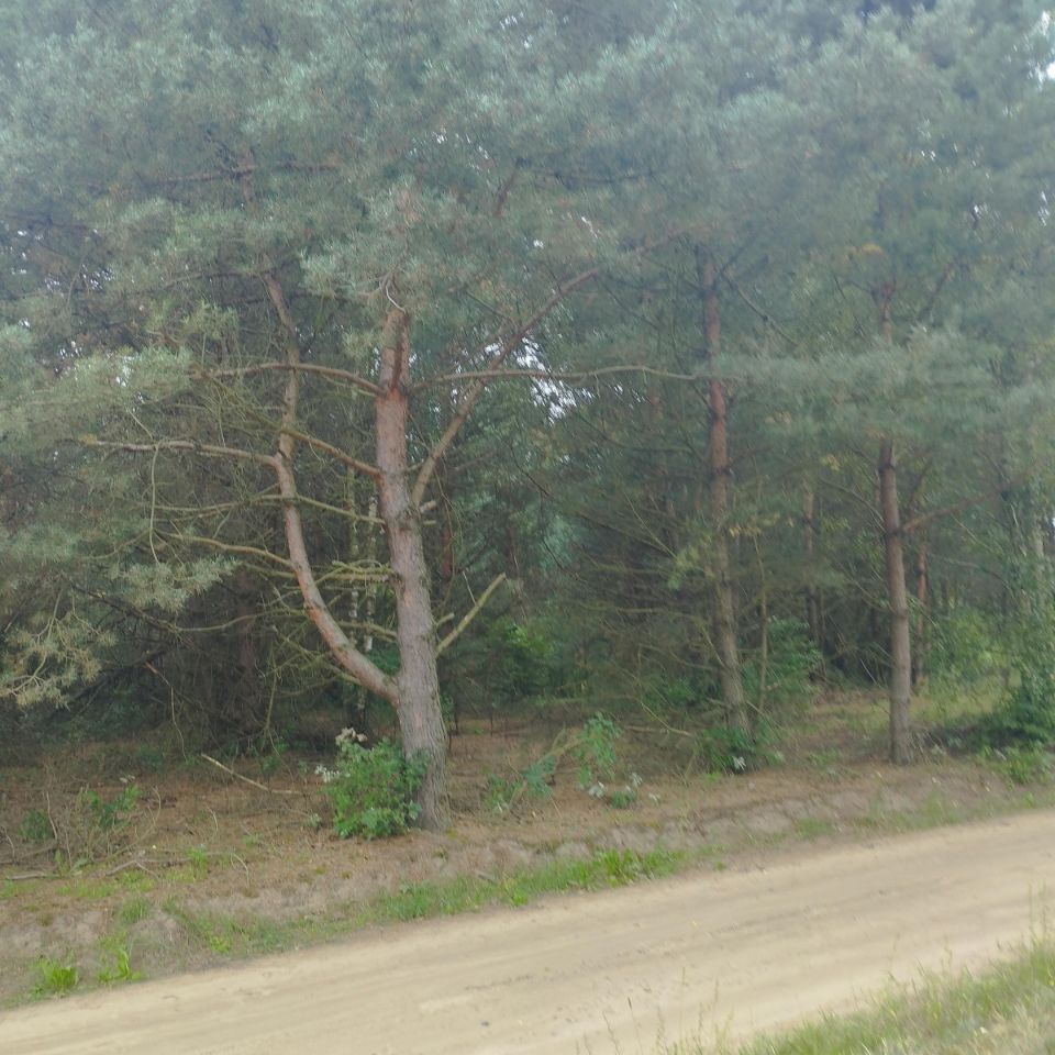 Działka budowlana Nagodów. Zdjęcie 5