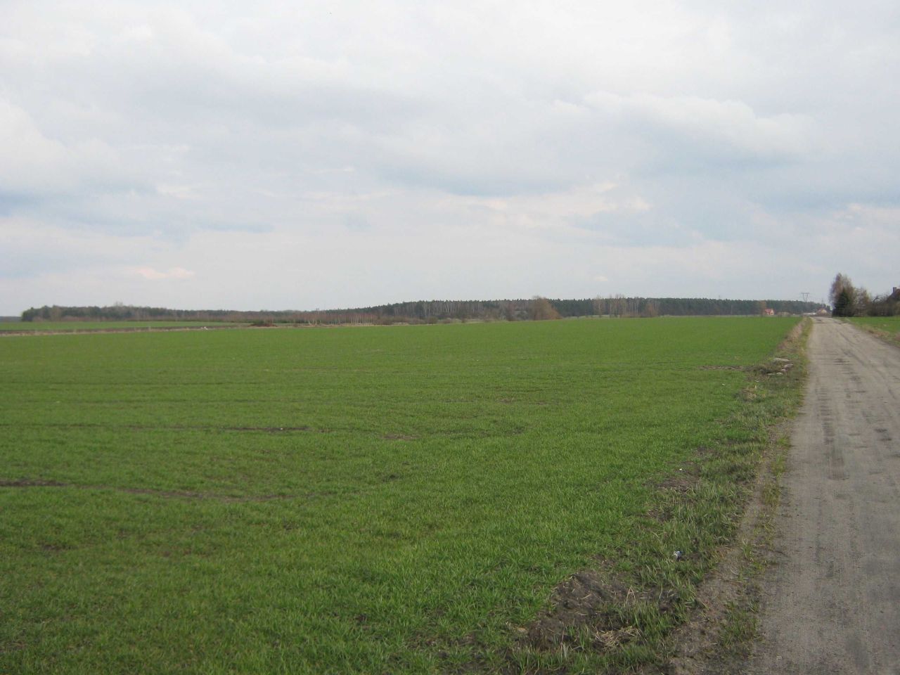 Działka budowlana Ceradz Dolny. Zdjęcie 2