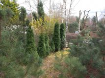 Działka Chrzypsko Małe. Zdjęcie 2