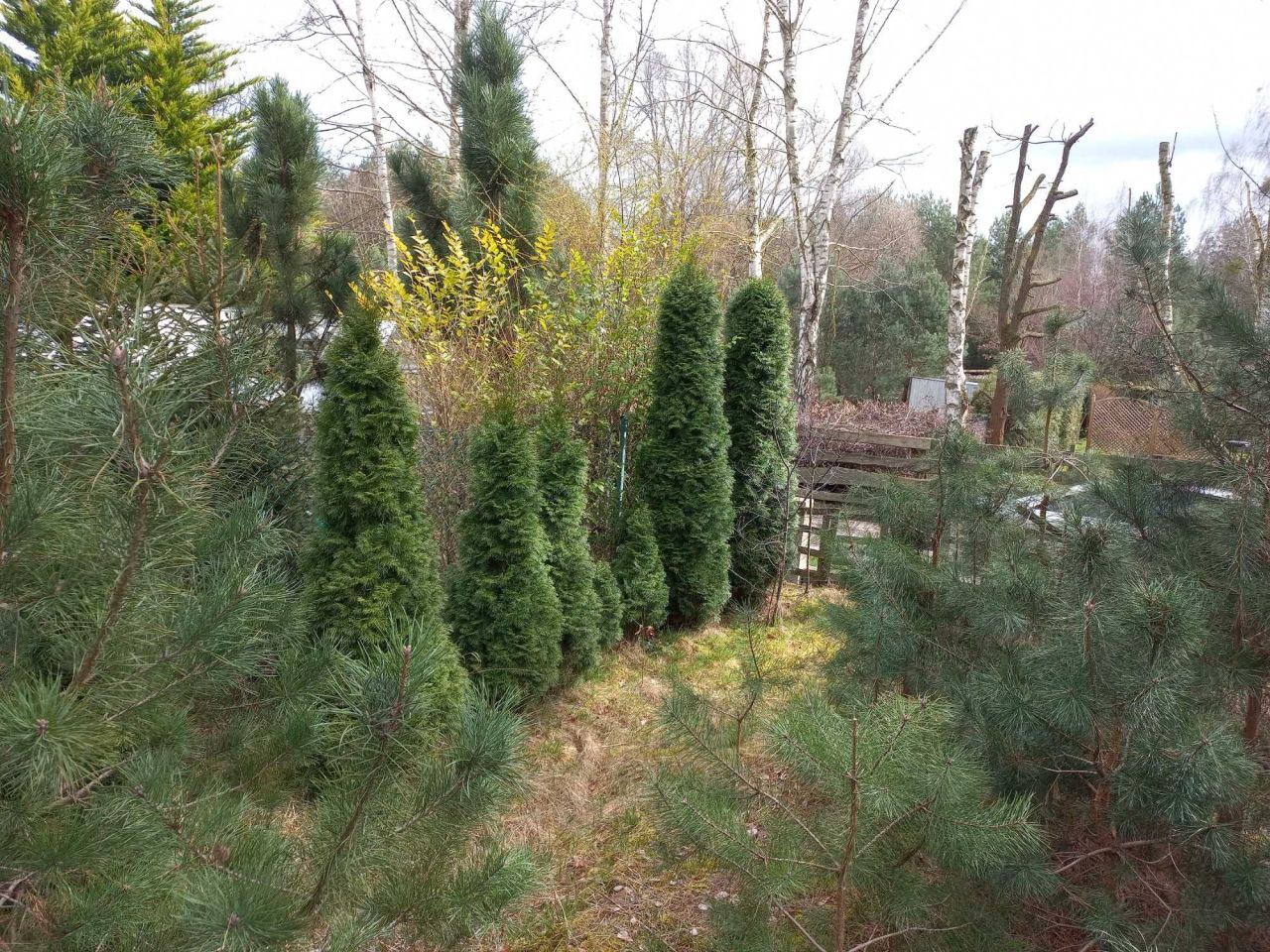 Działka Chrzypsko Małe. Zdjęcie 3