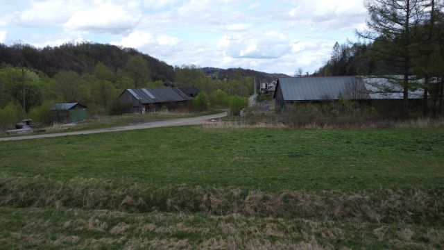 Działka rolno-budowlana Czaszyn. Zdjęcie 1