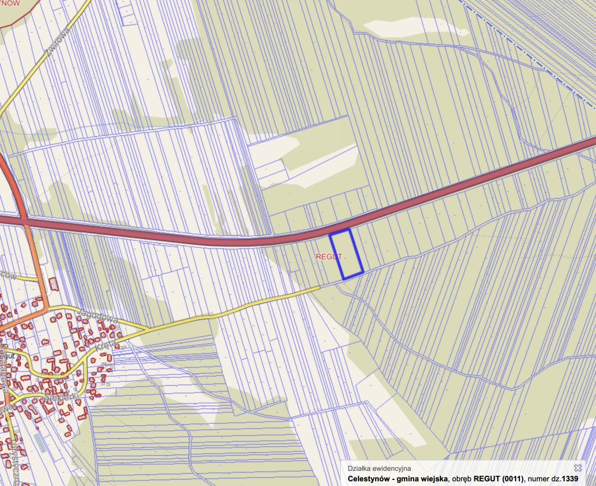 Działka leśna Regut