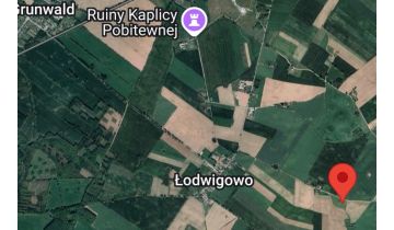 Działka rolna Łodwigowo