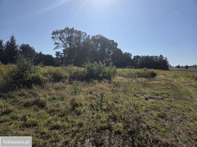 Działka budowlana Niesułków-Kolonia. Zdjęcie 1