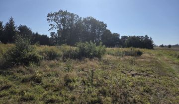 Działka budowlana Niesułków-Kolonia