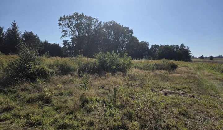 Działka budowlana Niesułków-Kolonia