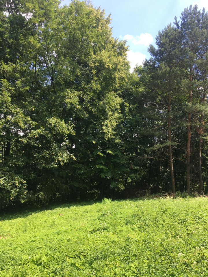 Działka budowlana Rybna Kucoroszec, ul. Górna. Zdjęcie 7