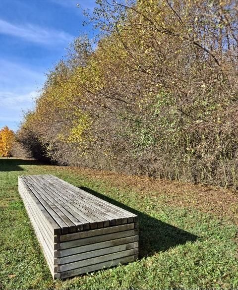 dom wolnostojący, 5 pokoi Czarny Las. Zdjęcie 18