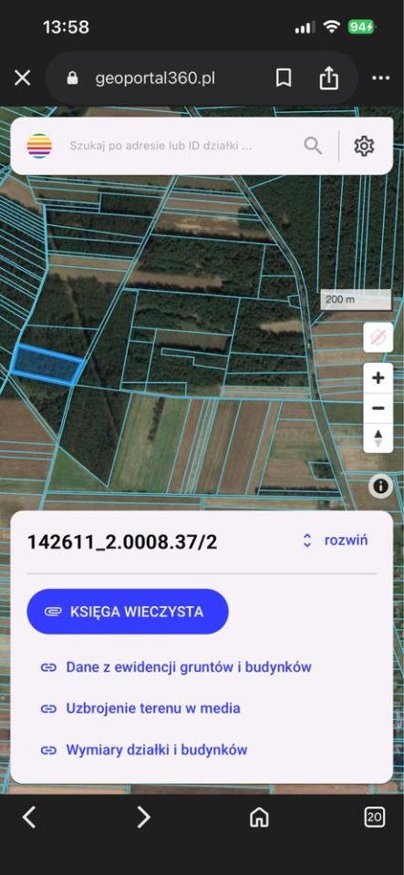 Działka leśna Gostchorz. Zdjęcie 4