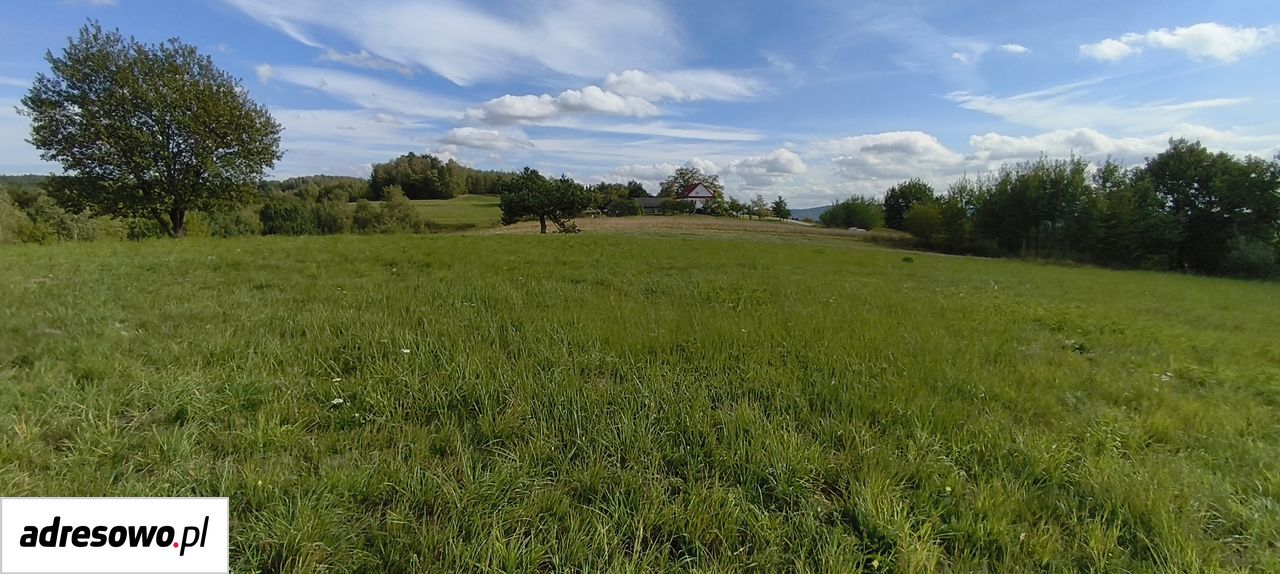 Działka budowlana Piaski-Drużków Chabalina. Zdjęcie 5
