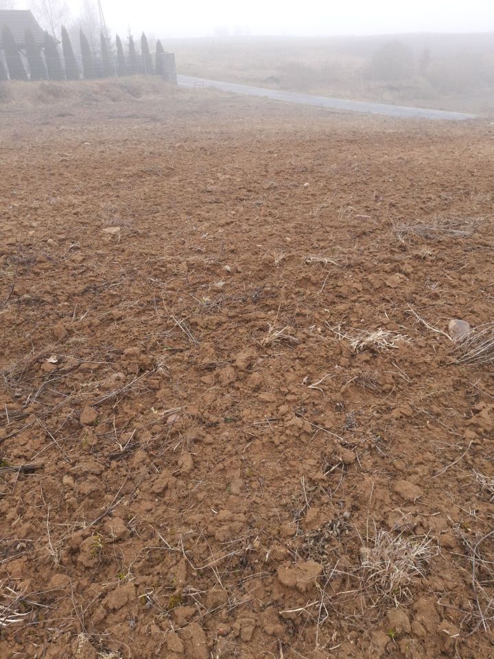 Działka rolno-budowlana Lubiewo. Zdjęcie 3