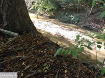 dom wolnostojący, 6 pokoi Lasowice. Zdjęcie 3