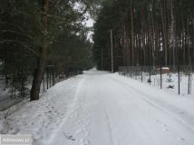 Działka budowlana Chrzczanka Włościańska, ul. Leśna. Zdjęcie 2