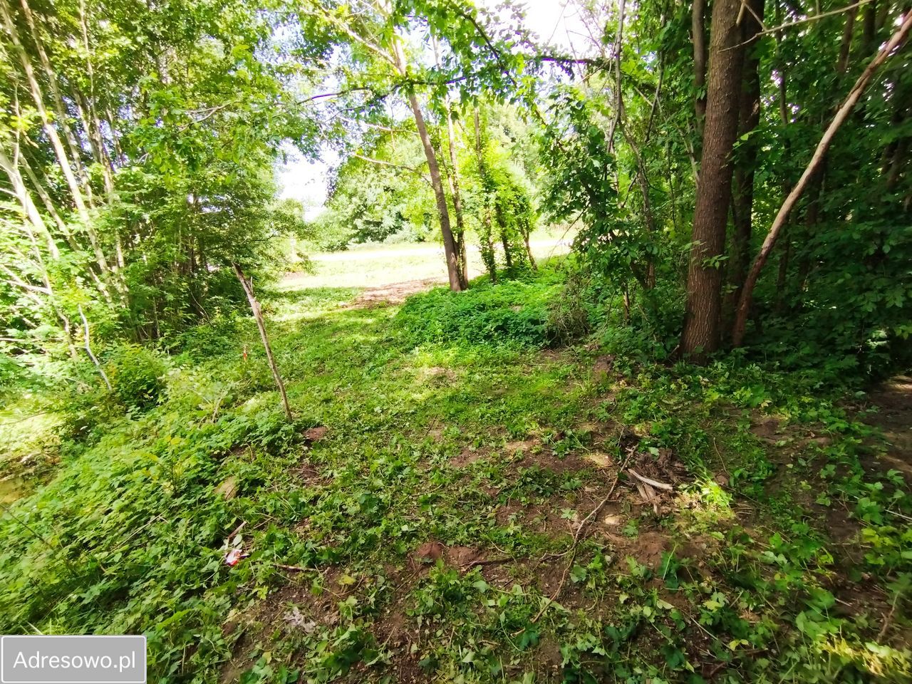 Działka rolno-budowlana Czymanowo. Zdjęcie 11