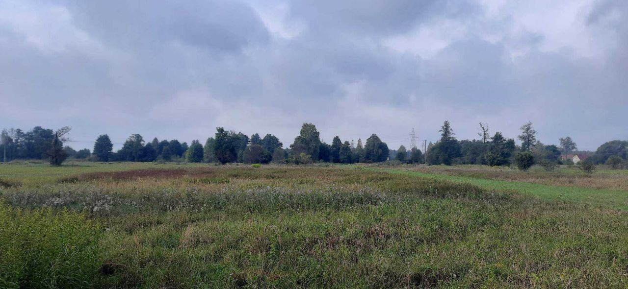 Działka rolna Zamienie