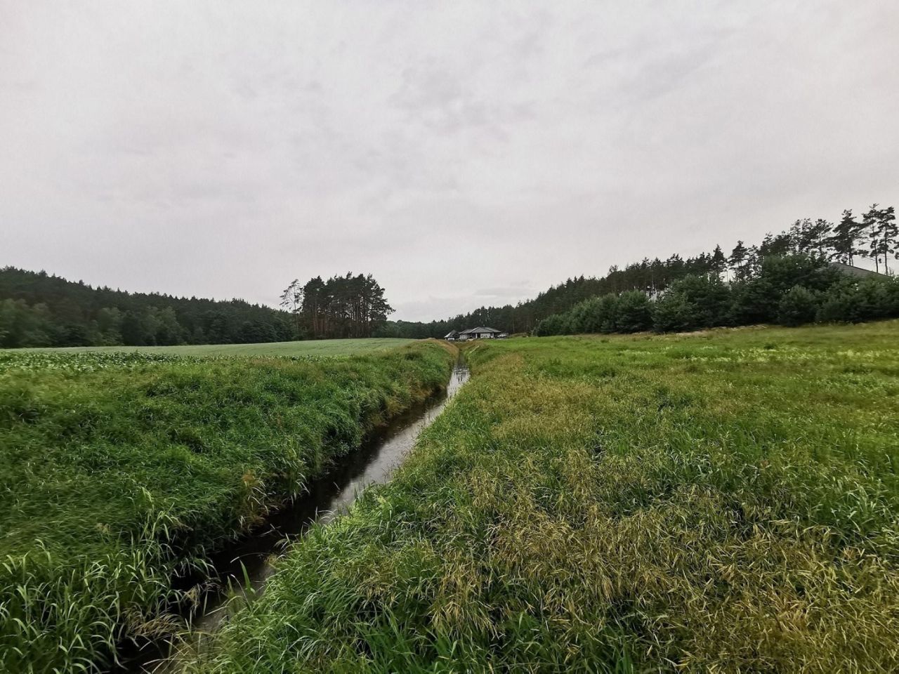 Działka budowlana Międzybłocie. Zdjęcie 3