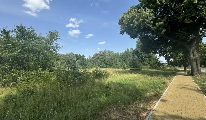 Działka rolno-budowlana Sewerynów