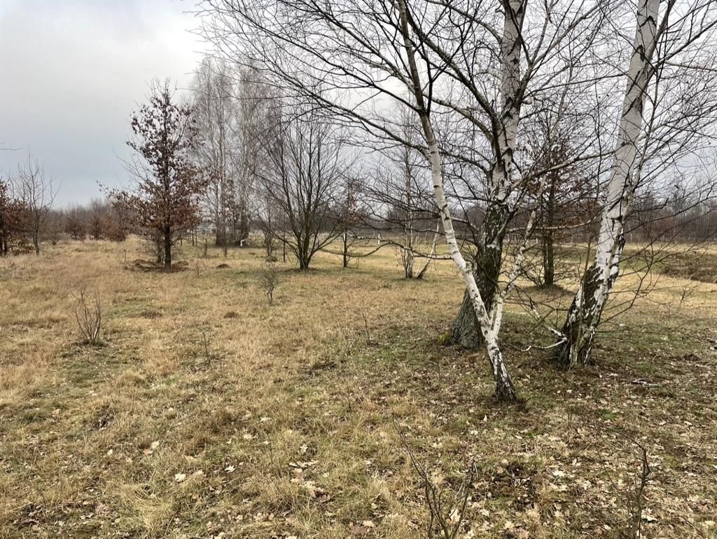 Działka budowlana Wólka Czosnowska, ul. Wojska Polskiego. Zdjęcie 8