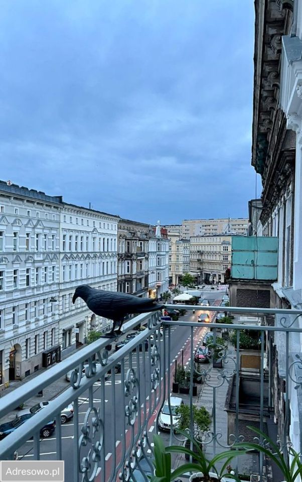 Mieszkanie 4-pokojowe Szczecin Centrum, ul. gen. Ludomiła Rayskiego. Zdjęcie 4