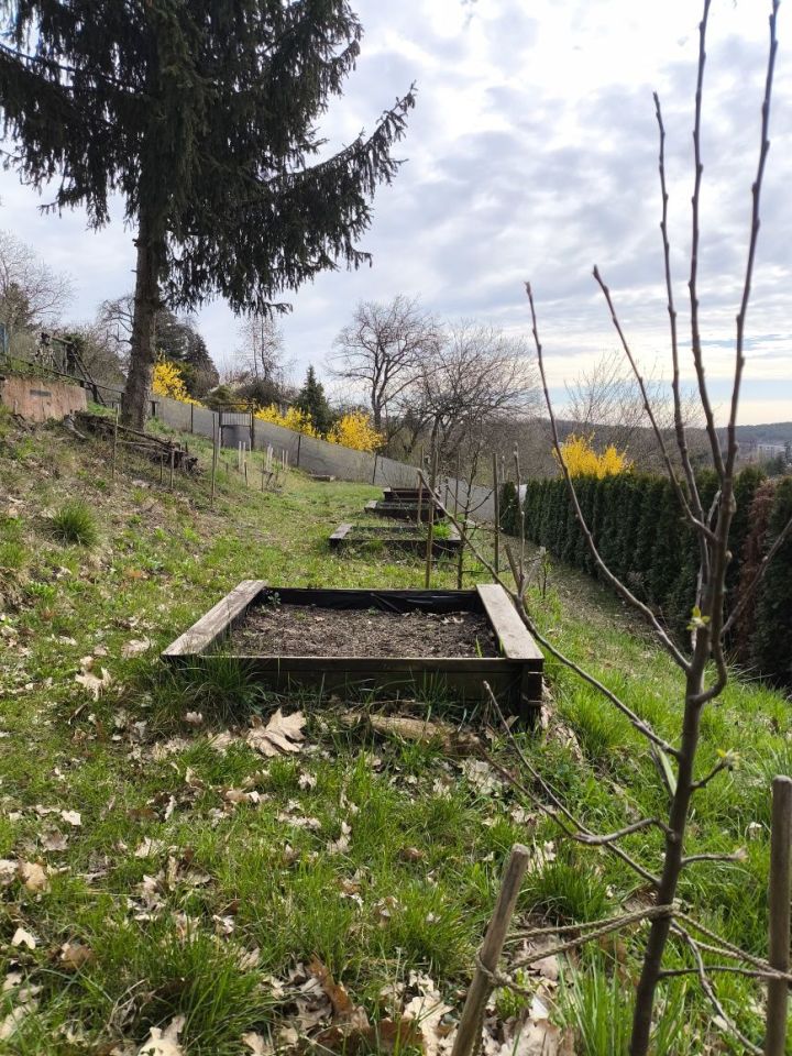 Działka rod Zielona Góra, ul. Tatrzańska. Zdjęcie 3