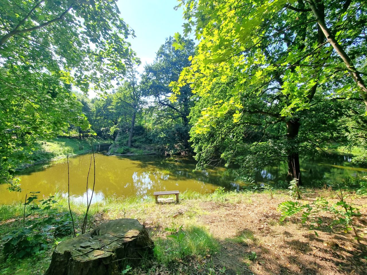 Nieruchomość komercyjna Głogów. Zdjęcie 5