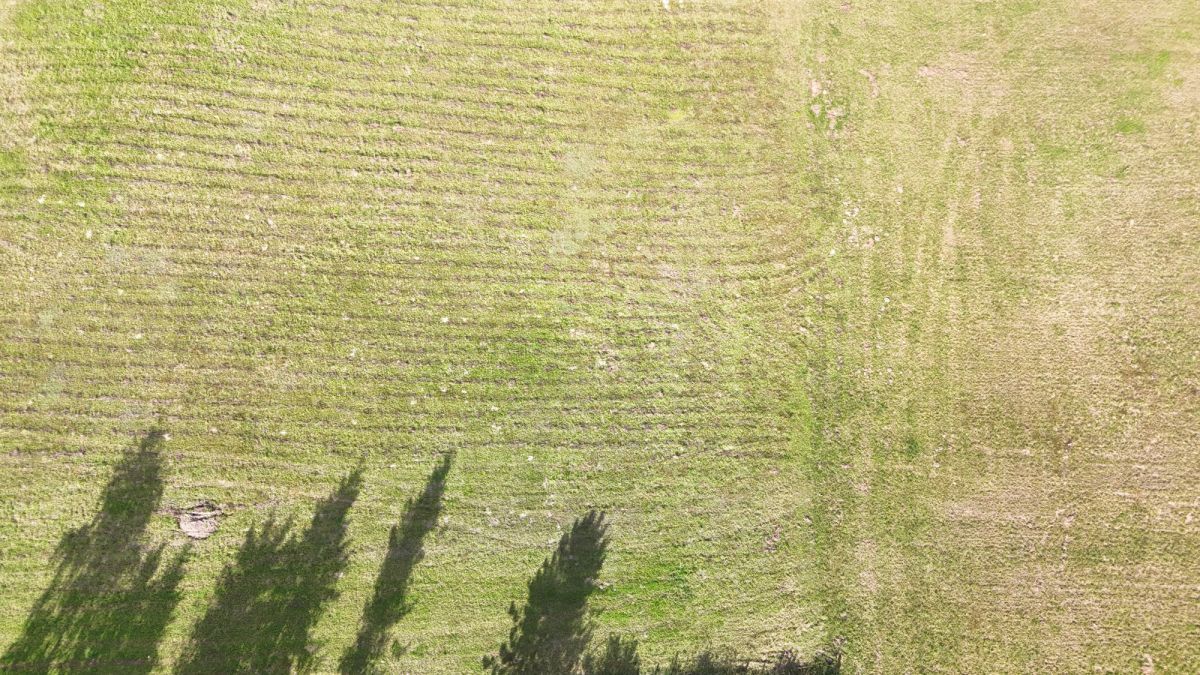 Działka budowlana Semlin, os. Leśne. Zdjęcie 13