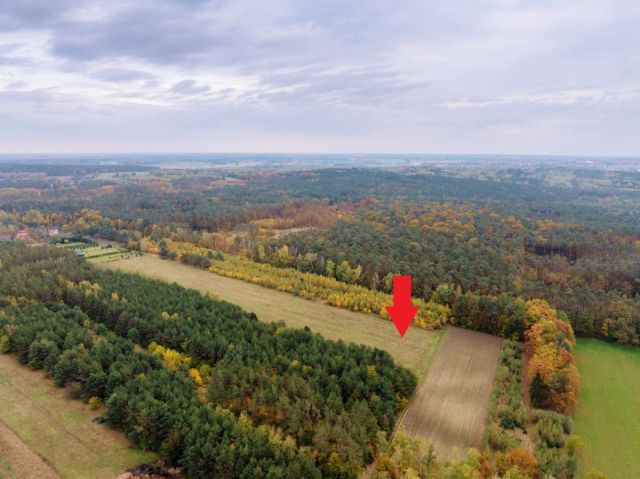 Działka budowlana Pieńki Henrykowskie. Zdjęcie 9