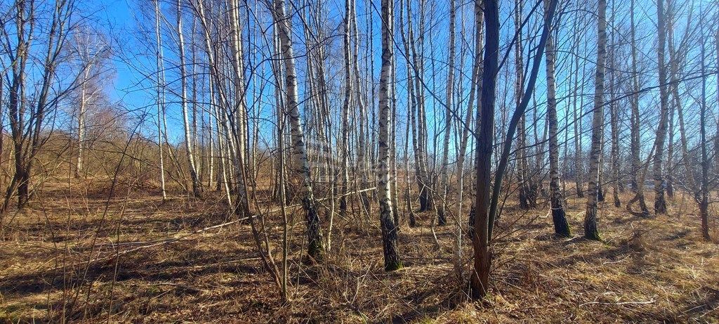 Działka budowlana Różnowo. Zdjęcie 7