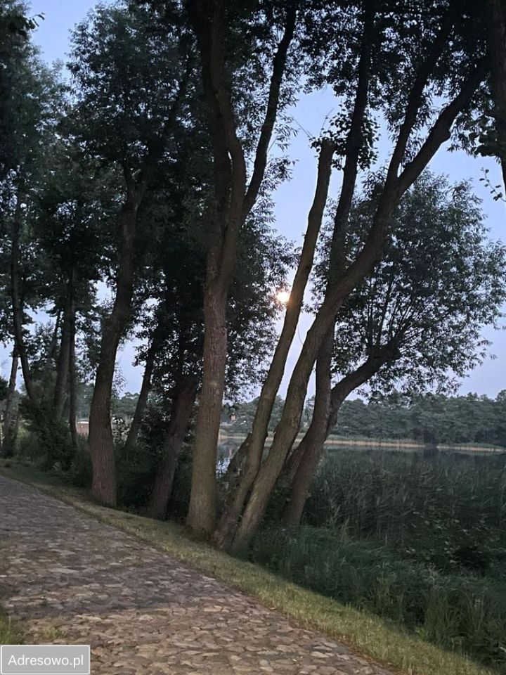 dom wolnostojący, 9 pokoi Wierzbiczany. Zdjęcie 10