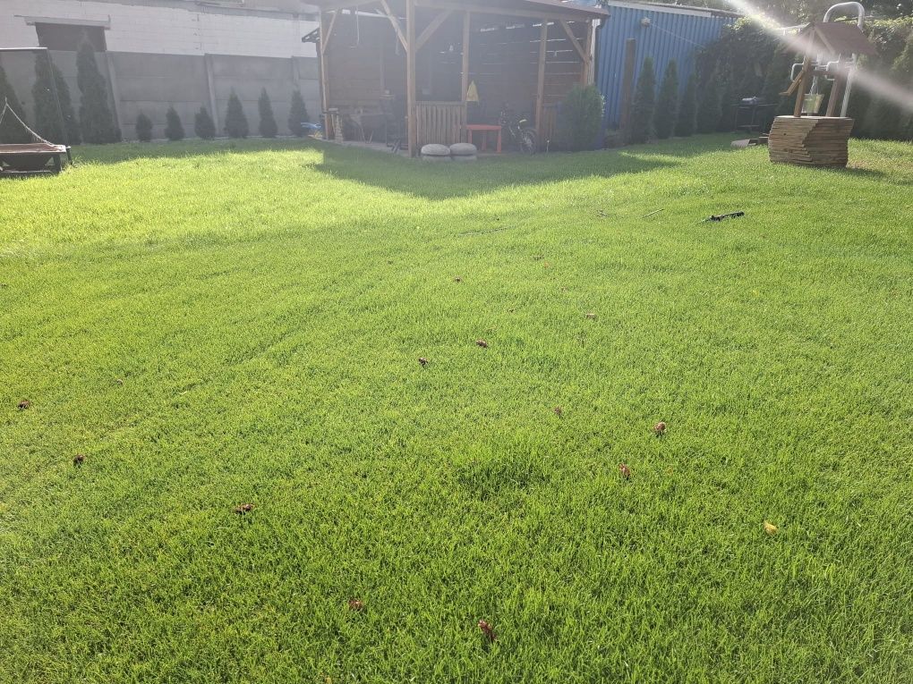 Działka rod Biedrusko. Zdjęcie 4