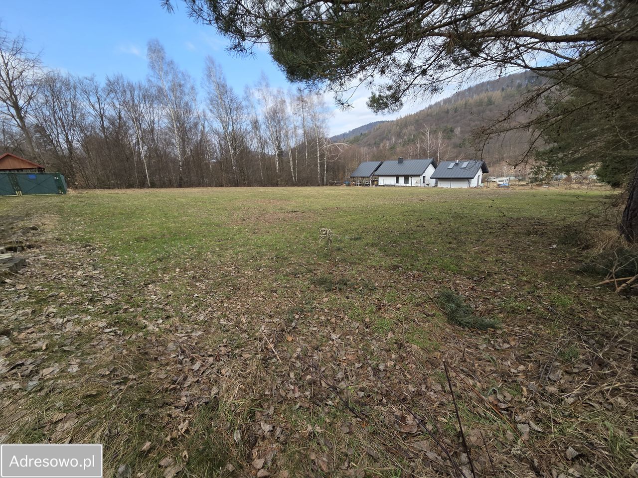 Działka inwestycyjna Łosie. Zdjęcie 3