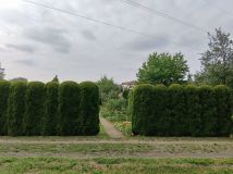 Działka rod Dębica, ul. 1 Maja. Zdjęcie 1