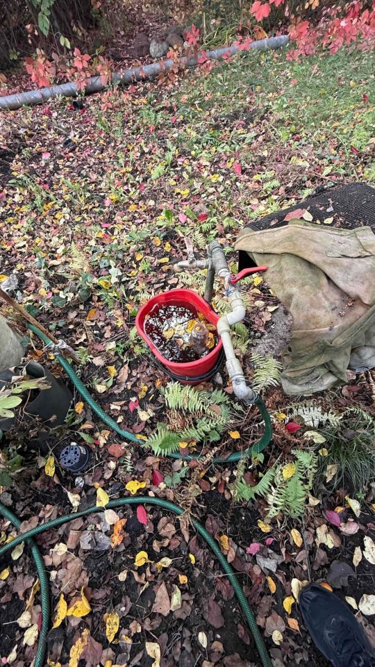 Działka rod Warszawa Zacisze. Zdjęcie 7