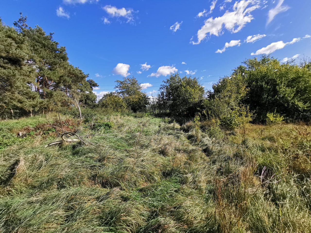 Działka budowlana Chociule. Zdjęcie 6