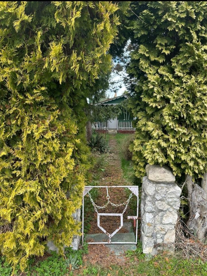 Działka rod Racibórz. Zdjęcie 3