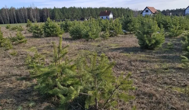 Działka rekreacyjna Wdzydze Tucholskie