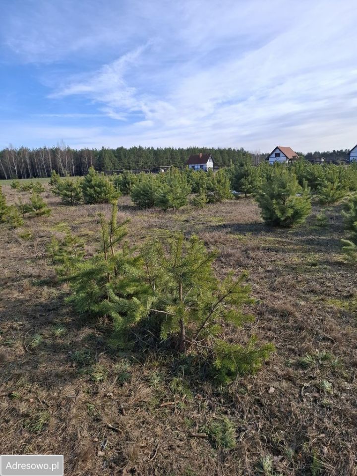 Działka rolno-budowlana Wdzydze Tucholskie. Zdjęcie 1