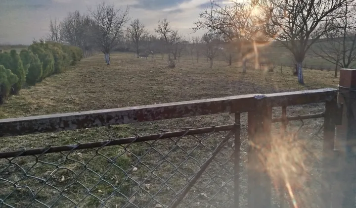 Działka rolno-budowlana Żurawica, ul. Wincentego Witosa