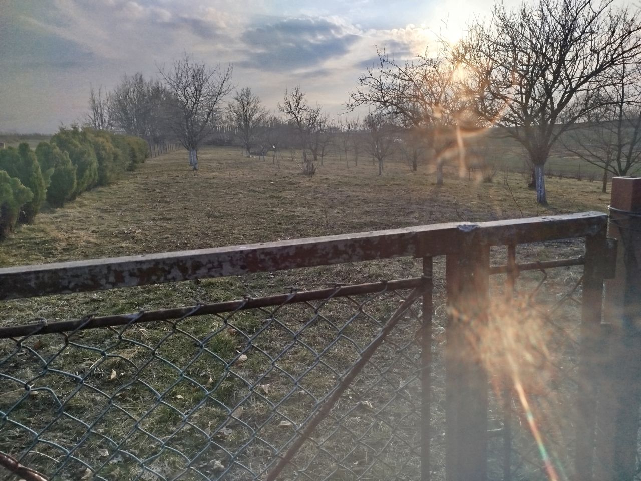 Działka rolno-budowlana Żurawica, ul. Wincentego Witosa. Zdjęcie 1