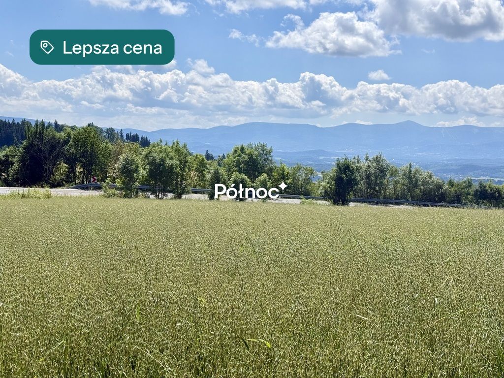 Działka budowlana Dziwiszów. Zdjęcie 6