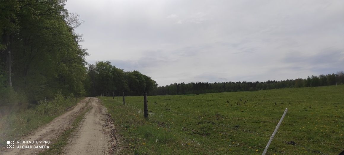 Działka rolno-budowlana Ciekocino. Zdjęcie 3