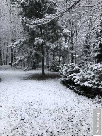 Działka Bielsko-Biała Komorowice Śląskie, ul. Akademicka. Zdjęcie 1