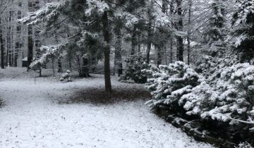 Działka Bielsko-Biała Komorowice Śląskie, ul. Akademicka