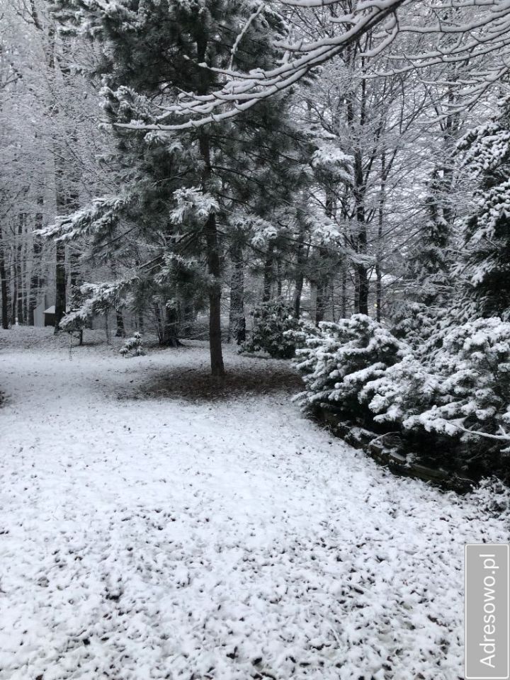 Działka Bielsko-Biała Komorowice Śląskie, ul. Akademicka